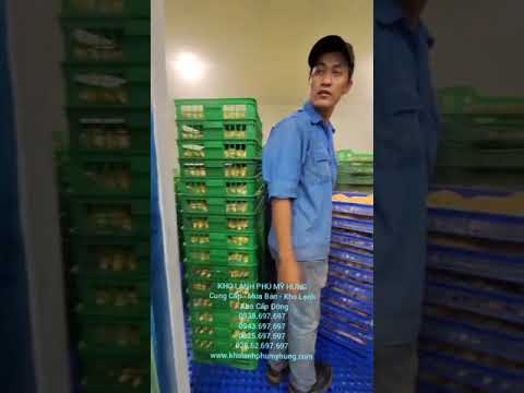 Lắp đặt kho cấp đông âm sâu độ âm đạt  (-40 đến -50 độ c)