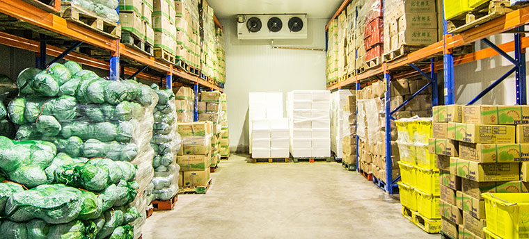Kho lạnh bảo quản thực phẩm &#8211; Giải pháp hiệu quả cho việc bảo quản và vận chuyển thực phẩm, KHO LẠNH PHÚ MỸ HƯNG