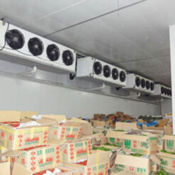 Kho lạnh bảo quản thực phẩm