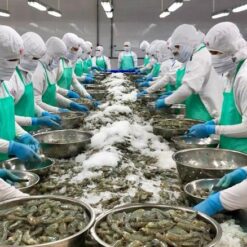 Thiết kế thi công kho lạnh Thủy hải sản