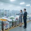 Cho Thuê Kho Lạnh Bảo Quản Thực Phẩm: An Tâm Chất Lượng, Giảm Chi Phí